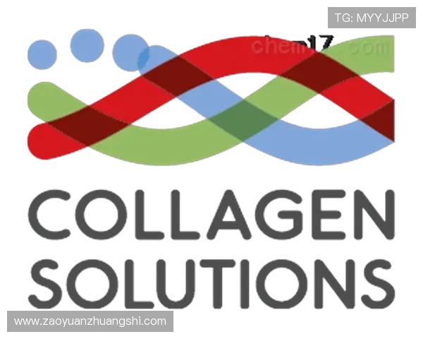 华体会hth体育中国客户服务与技术支持详细解答用户常见问题与反馈渠道